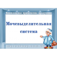 ПРОГРАММЫ профилактики нарушений и восстановления функции МОЧЕВЫДЕЛИТЕЛЬНОЙ системы