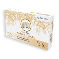 Hericium erinaceus forte (противоопухолевый иммуномодулятор)