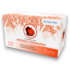 Antrodia Camphorata forte (противоопухолевый иммуномодулятор)