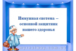 Иммунная система — основной защитник нашего здоровья