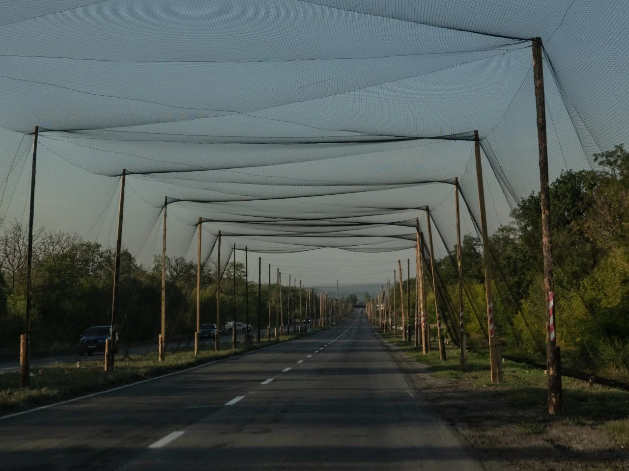 Дорога під антидроновою сіткою на деревяних стовпах серед зелені